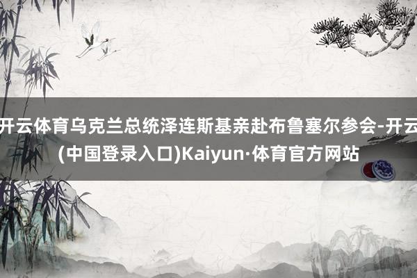 开云体育乌克兰总统泽连斯基亲赴布鲁塞尔参会-开云(中国登录入口)Kaiyun·体育官方网站